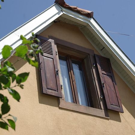 La Maison De Vacances De Colmar Et Son Jardin Exteriér fotografie